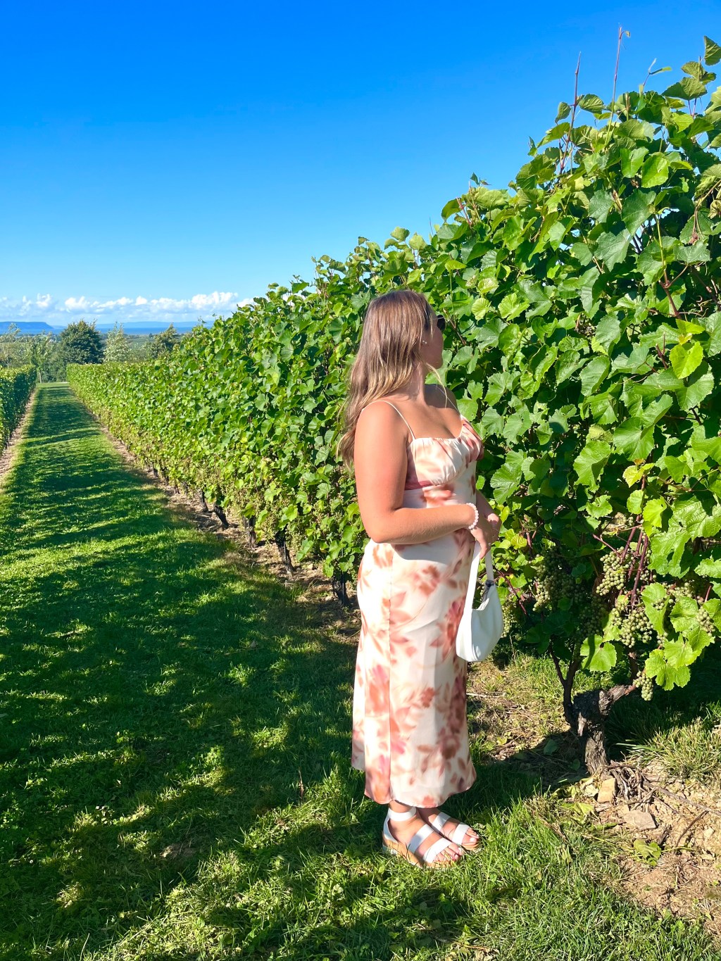 Welcome to Her Quiet&nbsp;Corner